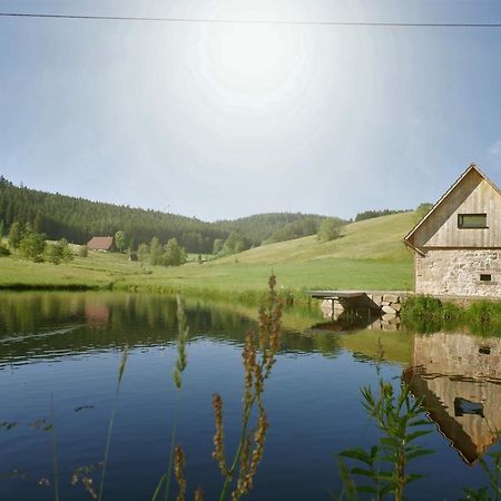 Villa Ferienhaus Im Schwarzwald Am See "Backhaeusle" à Hornberg Extérieur photo