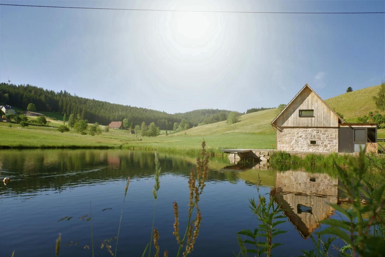 Villa Ferienhaus Im Schwarzwald Am See "Backhaeusle" à Hornberg Extérieur photo