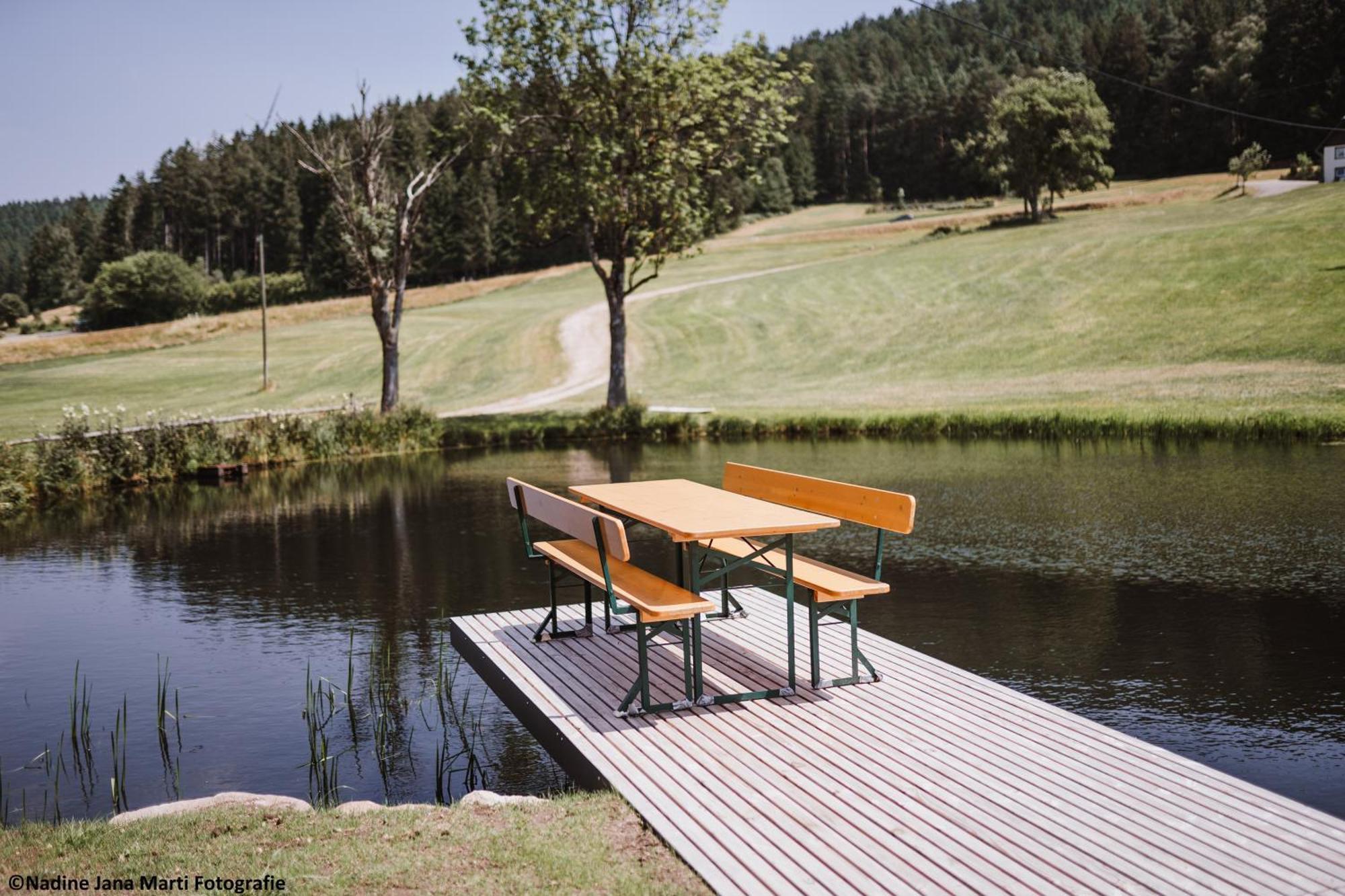 Villa Ferienhaus Im Schwarzwald Am See "Backhaeusle" à Hornberg Extérieur photo